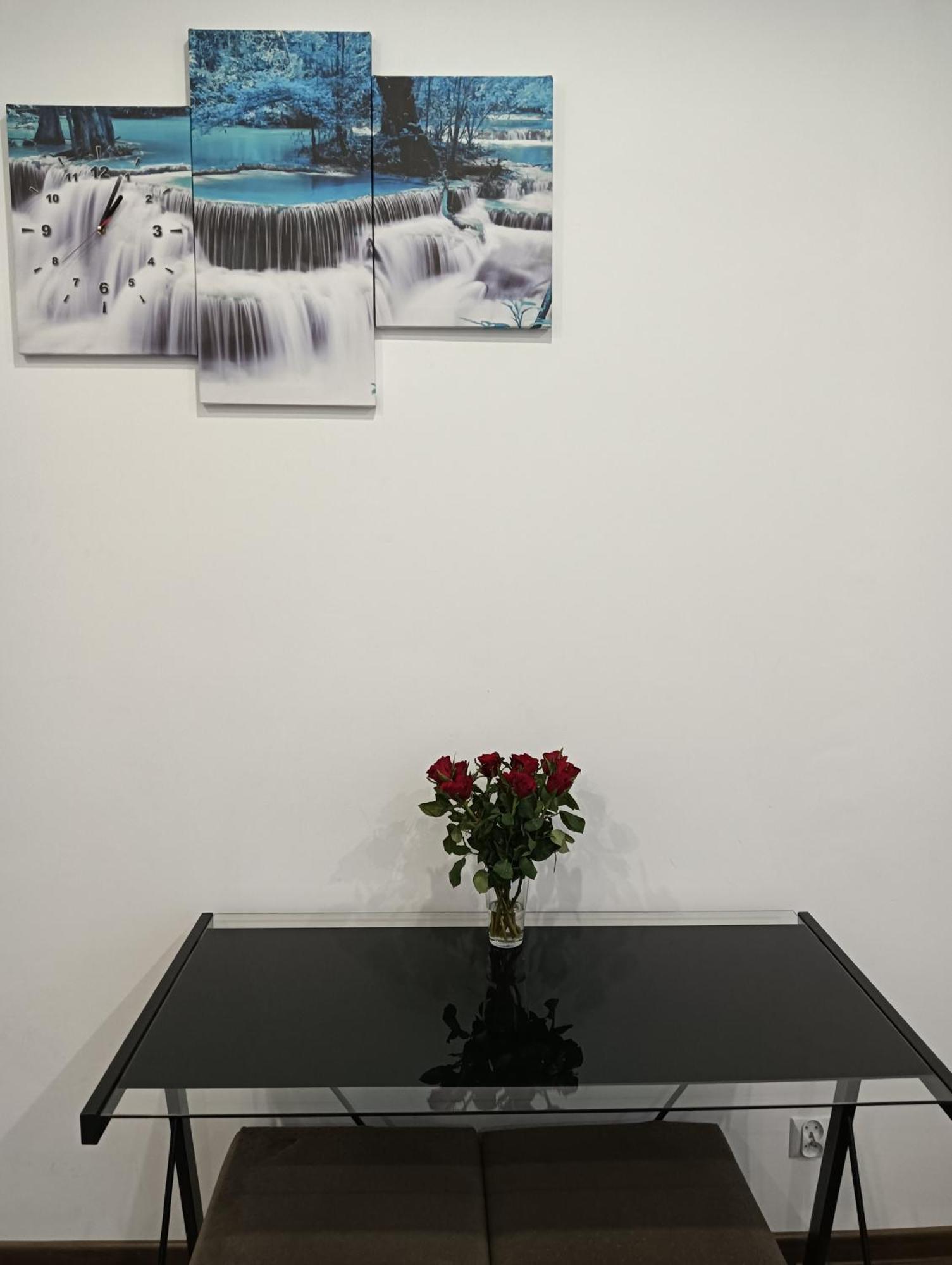 Apartament B&B Stalowa Wola Zewnętrze zdjęcie